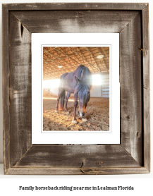 family horseback riding near me in Lealman, Florida